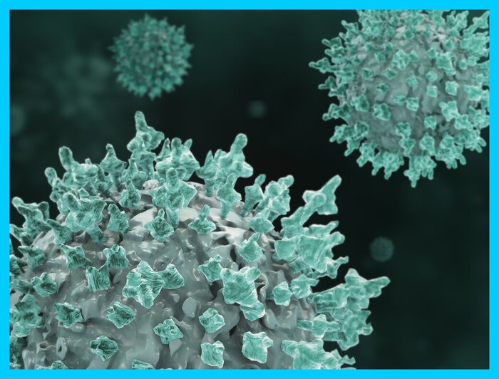 A 3D rendering of blue coronavirus microbe cells