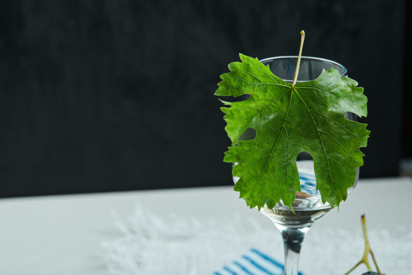 Pohár vína s listom