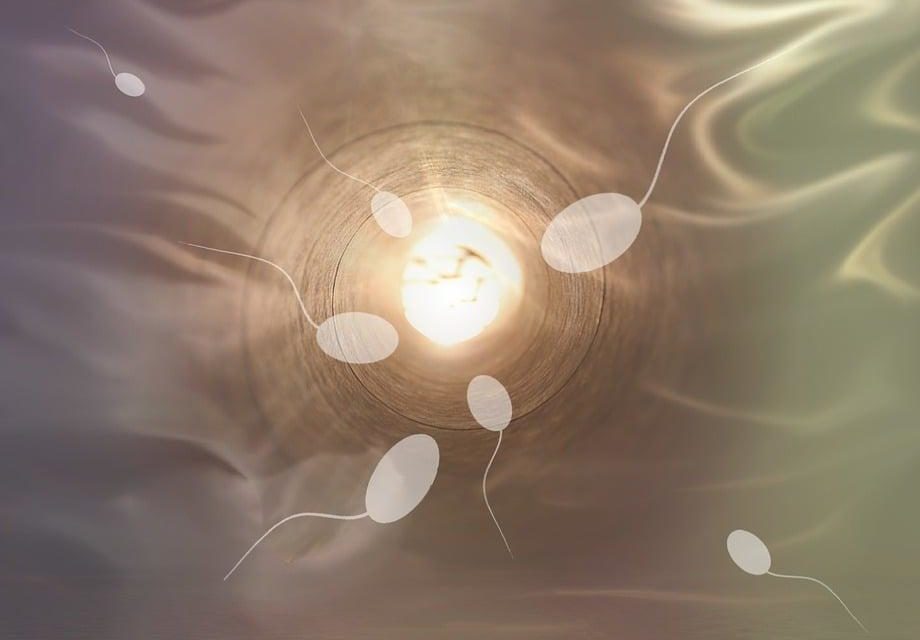 Uhniezdenie vajíčka: Ako prebieha, aké sú príznaky a kedy navštíviť doktora?